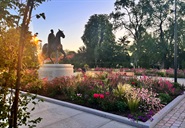 Bekijk deze foto groter. Foto: 'Kasteelpark Nijenborgh'.